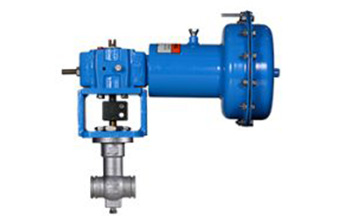 rotary steam control img 2